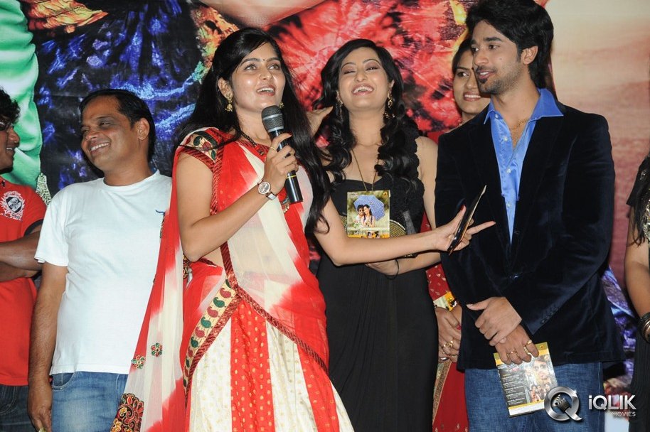 Cut-Chesthe-Movie-Audio-Launch